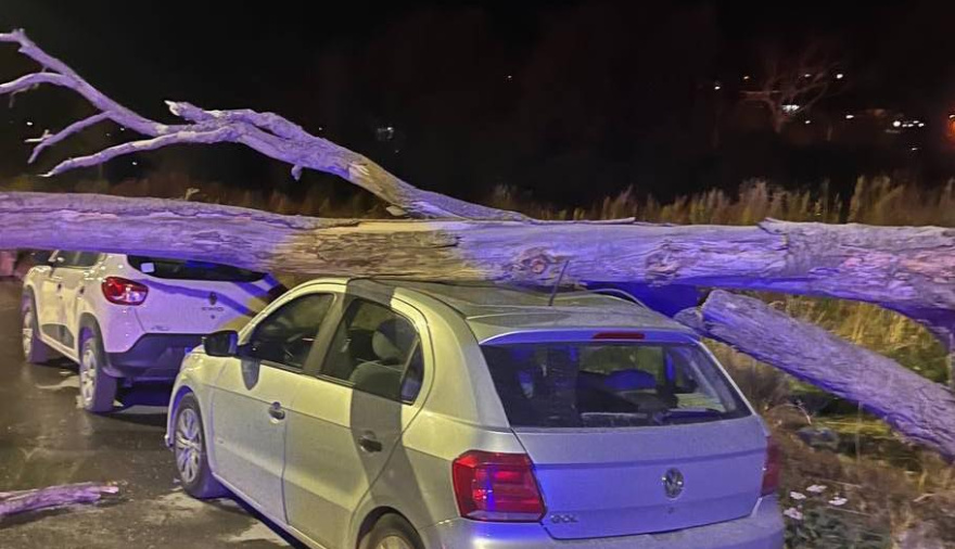 Violentas ráfagas en Ushuaia: volaron chapas y dañaron vehículos estacionados