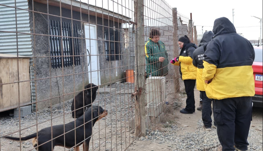 El municipio continúa acercando los servicios veterinarios a los barrios