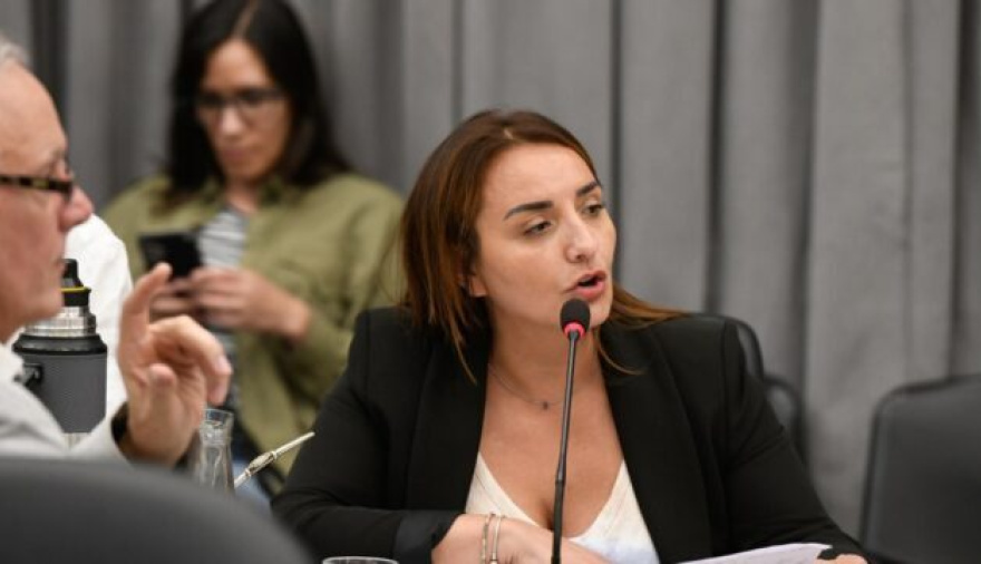 Andrea Freites: "Hay una decisión clara de desmantelar la Ley 19.640"