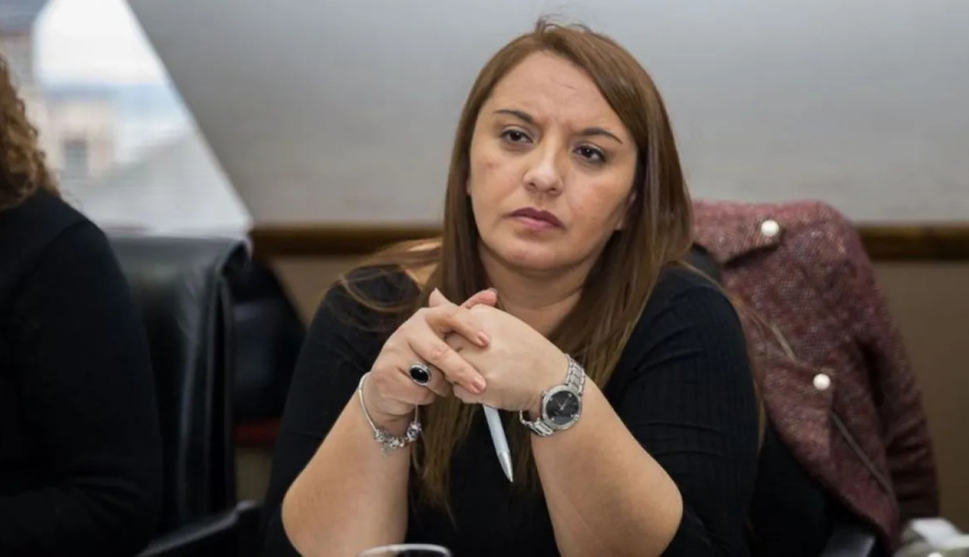 Andrea Freites: “Dentro de tantas noticias malas, la reactivación de Aires del Sur es una muy buena noticia”