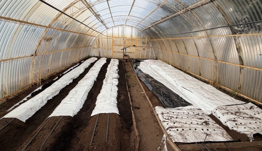RÍO GRANDE AVANZA EN LA PUESTA EN MARCHA DE LA CHACRA AGROEXPERIMENTAL “GERMÁN ASENCIO”