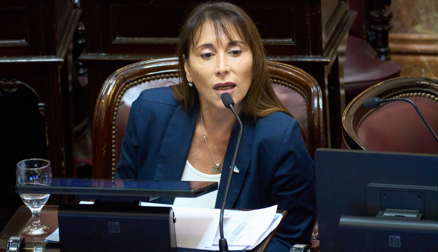 “Gran negociado inmobiliario”: López presentó 4 proyectos para frenar el remate de 38 hectáreas de la Base Naval en Ushuaia