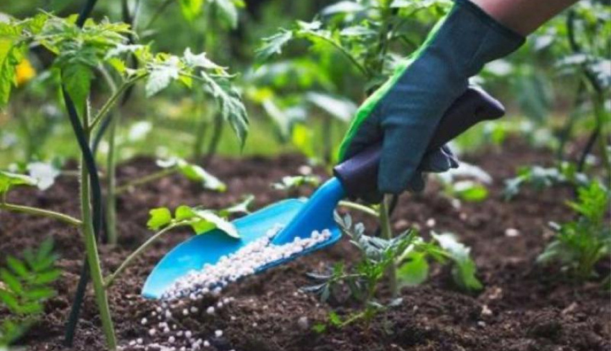 Provincia Grande brindará un taller de jardinería para aprender y generar nuevas oportunidades laborales