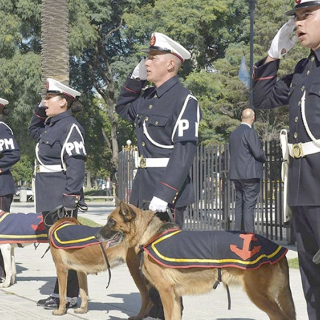 Distinción a la Agrupación Perros de Guerra de Malvinas