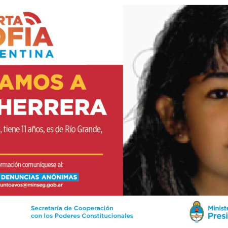 Alerta Sofía camino a ser ley: buscan una respuesta inmediata ante desapariciones infantiles