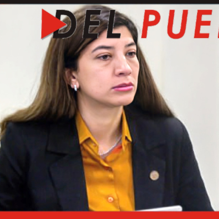 Venta ‘puerta a puerta’ de electrónicos fueguinos: “Estamos ante un escenario aún desconocido”