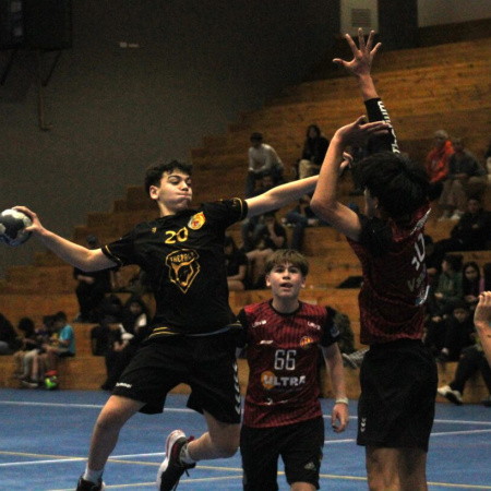 Handball y voleibol playa