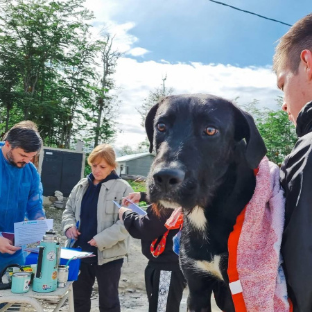 A un año de la emergencia zoonótica, el Municipio de Tolhuin presentó el informe de gestión en salud veterinaria y desarrollo sostenible