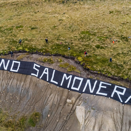 El proyecto para permitir las salmoneras sería aprobado en la próxima sesión de la Legislatura