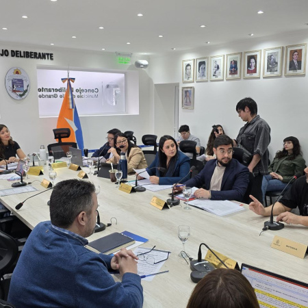 Los ediles analizaron distintos proyectos que se encontraban en comisión