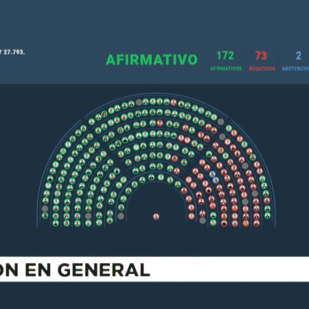 Revés para el Gobierno: Diputados rechazó el veto de emergencia en Discapacidad
