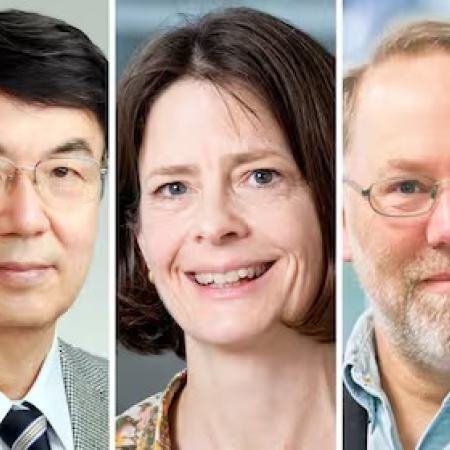 Premio Nobel de Física: fue otorgado a John Clarke, Michel H. Devoret y John M. Martinis por sus descubrimientos clave para el desarrollo de los chips
