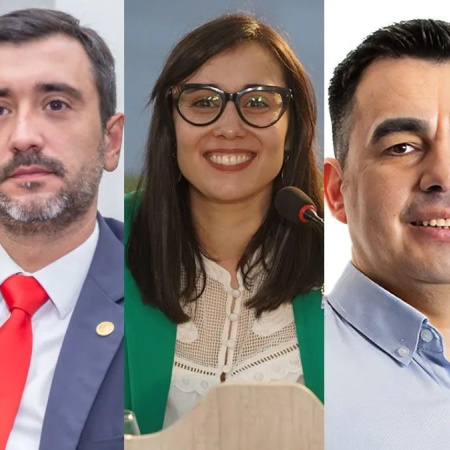 Tierra del Fuego definió sus representantes nacionales