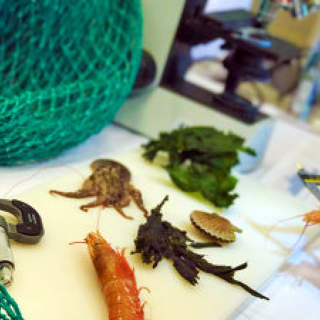 La UTN convoca a la inscripción para Ingeniería Pesquera