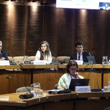 Tierra del Fuego destacó su potencial agroalimentario en un encuentro federal de desarrollo productivo en Chile