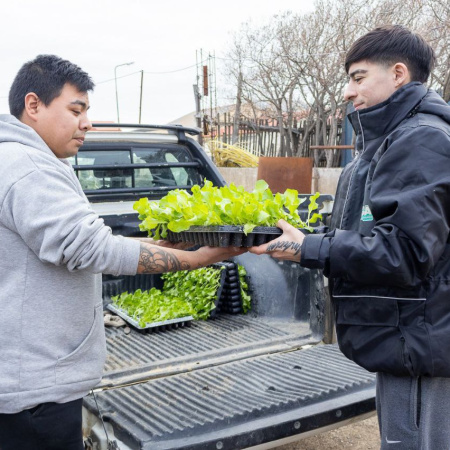 Más Producción: 1.000.000 de plantines de verduras entregados durante la temporada