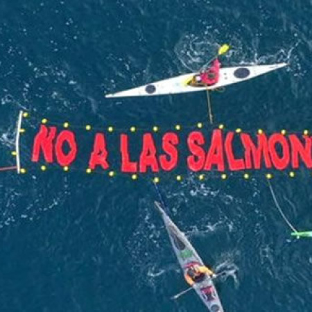 Mane Kenk judicializará la reforma que habilita la cría de salmones en Tierra del Fuego