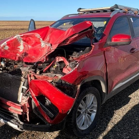 ​¡ALERTA EN RUTA 3!: Familia se salvó de milagro tras chocar un guanaco camino a Estancia Sara