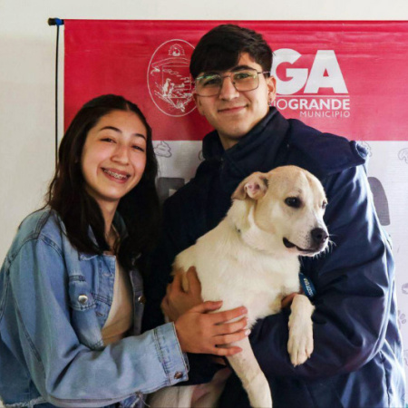 Jornada de vacunación y adopción responsable en Rio Grande