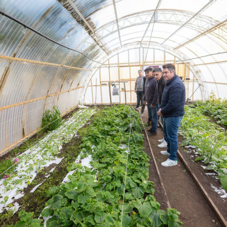 Rio Grande impulsa la primera chacra agroexperimental municipal de Tierra del Fuego