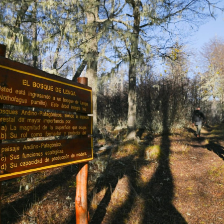 “Programa Otoño del Fuego”: El INFUETUR junto al sector privado busca fortalecer la llegada de viajeros al fin del mundo en temporada baja