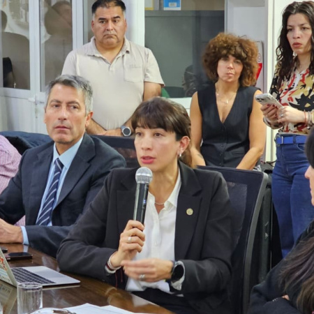 La Secretaría de Industria expuso ante legisladores sobre la situación del sector y el regimen de aduana en factoría