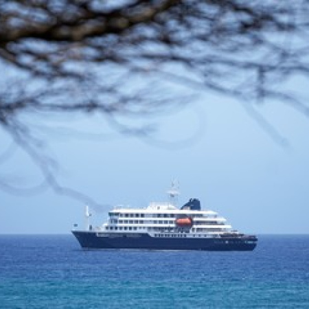 La OMS confirma un segundo caso de hantavirus en el crucero y evacuará a dos tripulantes con síntomas