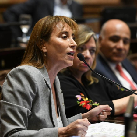 La senadora López rechazó la eliminación de la Zona Fría y cargó contra los diputados y senadores libertarios