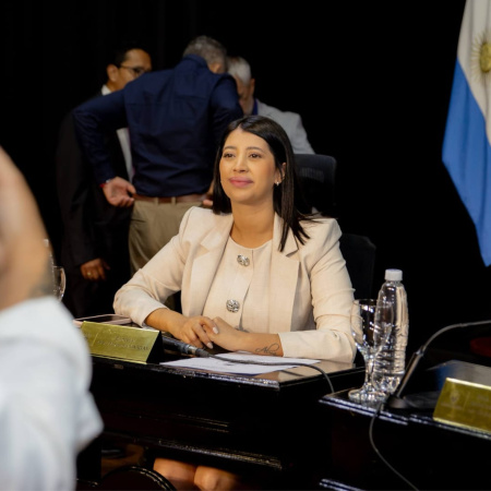 La Concejal Florencia Vargas presentó un proyecto para proteger la memoria de Rio Grande