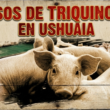Brote de triquinosis en Ushuaia
