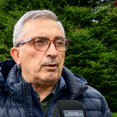 De Gaetano: “El proyecto no respeta la operatividad real del puerto”