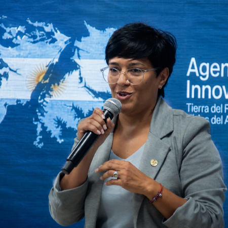 Cubino presentó la plataforma Malvinas: "Pretendemos que sea un lugar donde el conocimiento popular también sea accesible"