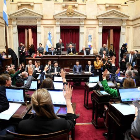 El Senado aprobó la Ley de Propiedad Privada tras eliminar dos capítulos clave para conseguir los votos