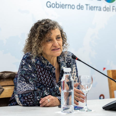 Castiglione: “Si Mirgor incumplió la conciliación obligatoria, podría ser sancionada”