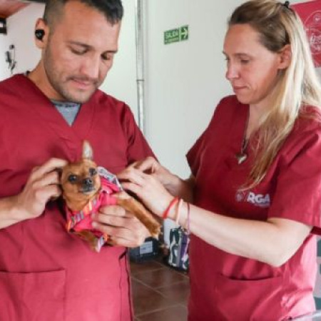 “Una mascota es un integrante más de la familia”: el Municipio refuerza la tenencia responsable
