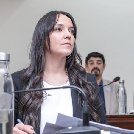 Victoria Vuoto defendió el concurso para la Defensoría de Niñas, Niños y Adolescentes y cuestionó a Gracianía