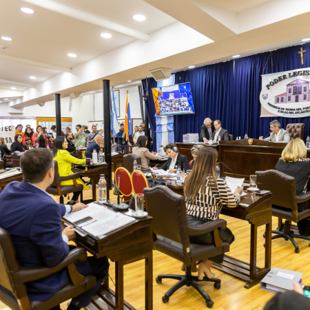 Impulsan un registro provincial para impedir que personas inhabilitadas accedan a cargos públicos