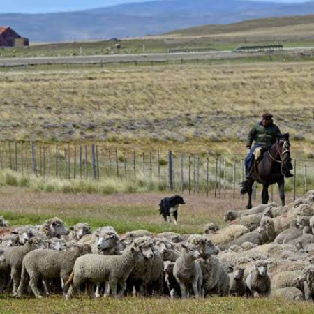 La Corte Suprema rechazó la demanda del CECIM contra la derogación de la Ley de Tierras Rurales