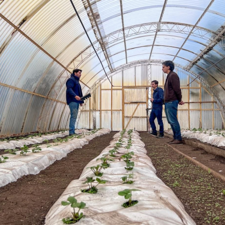 La chacra municipal agroexperimental se potencia junto a Rio Grande Activa