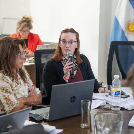 “El proyecto busca generar previsibilidad y estabilidad en la inversión educativa"