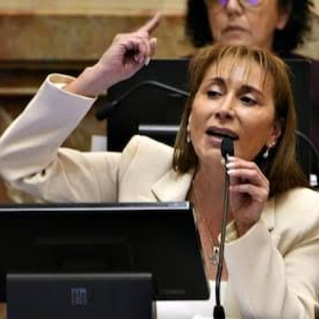 Cristina López no podrá llevar a Casación la causa por los incidentes en el Senado