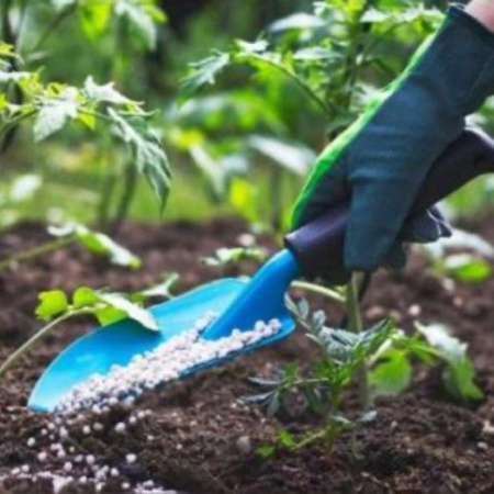 Provincia Grande brindará un taller de jardinería para aprender y generar nuevas oportunidades laborales